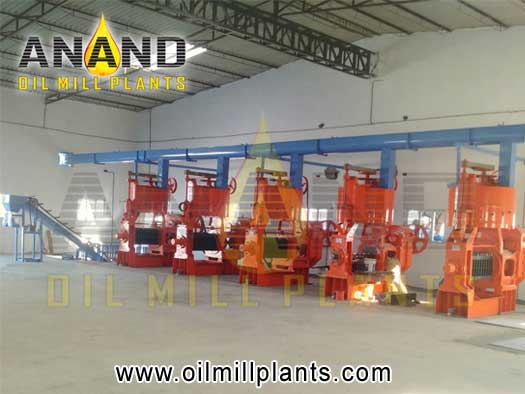 oil plant machinery oil mill machines oil expeller manufacturers exporters india punjab ludhiana